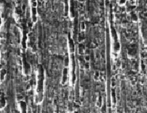 Research on orthodontic alloys
